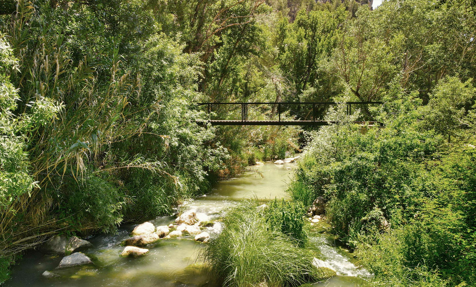 RiodeOlivares-Moclin